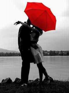 鲜艳的红雨伞240×320手机壁纸图片