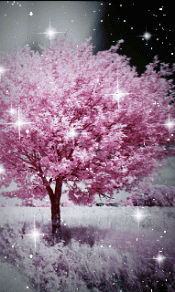 梦幻般的樱花240×320手机壁纸图片