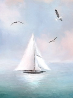 海鸥和白帆船240×320手机图片