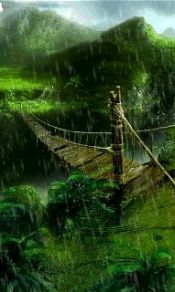 雨中的木制绳桥240×320手机图片