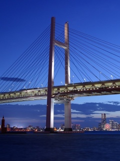 夜色中的现代拉索桥240×320手机图片下载