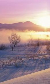冬天的清晨240×320手机图片库