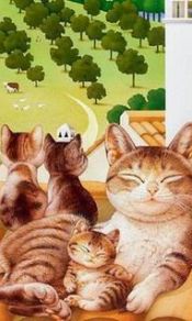 猫猫一家240×320手机图片壁纸