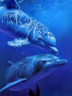 深海中的两只海豚240×320手机图片