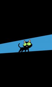 黑夜中的大绿眼小猫咪480×800手机壁纸
