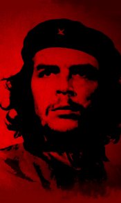 伟大的国际共产主义战士切格瓦拉480×800手机壁纸