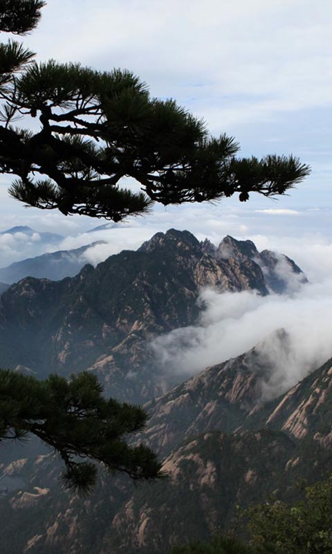 黄山美丽风景480×800手机壁纸图片