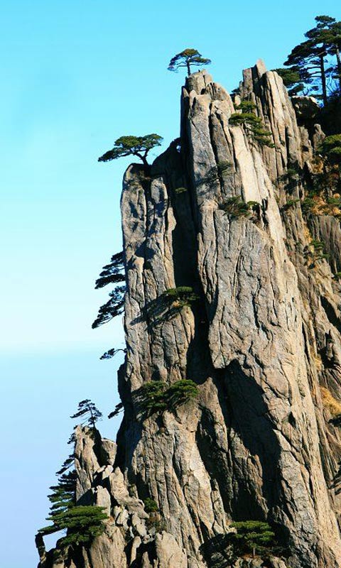 黄山嶙峋山景480×800手机壁纸