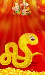 金蛇贺新春，蛇年480×800手机壁纸