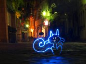 夜色里，霓虹灯画出的猫640×480手机壁纸
