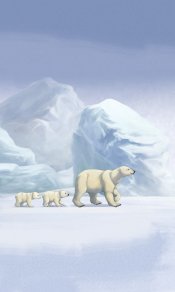 两个小家伙跟在大北极熊身后，温馨手机壁纸下载