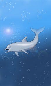 可爱的海豚表情，会笑的海豚480×800安卓手机壁纸