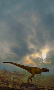 恐龙在戈壁上疾走480×800高清手机壁纸库