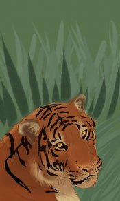 丛林里的老虎安卓大图480×800免费