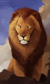 丛林里的秩序之王，威风的狮子480×800手机壁纸
