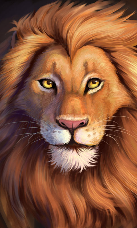 雄狮坚定的眼神高清480×800手机壁纸