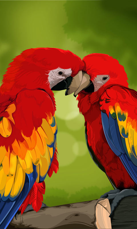 红色的鹦鹉情侣480×800手机壁纸大全