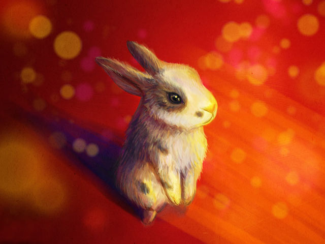 最全的萌物兔子图片640×480手机壁纸（12）