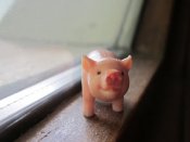 可爱的小玩艺摄影，窗台上的小猪手机壁纸图片