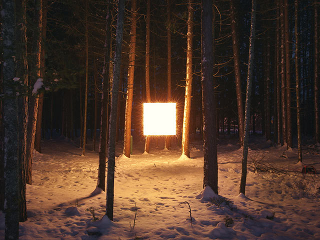 黑夜里树林中的灯光，创意摄影手机壁纸图片下载（2）