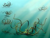 章鱼多种形态的绘画技法手机图片