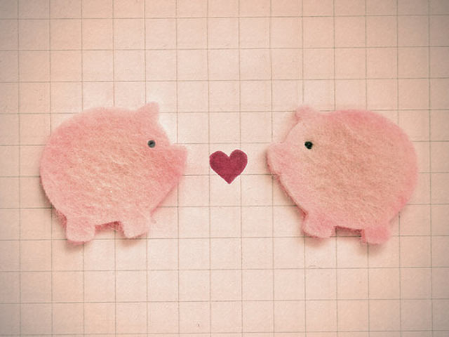 方格纸上，两个粉红色手工小猪的爱情640×480手机壁纸