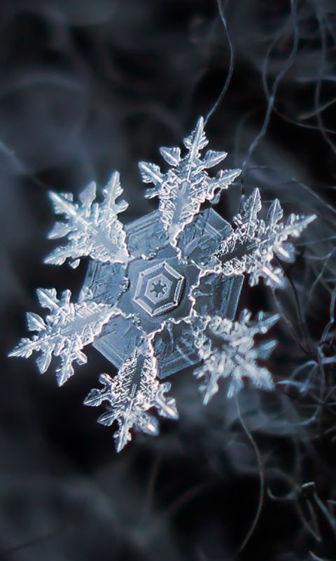 晶莹剔透，微距摄影雪花晶体高清手机壁纸图片