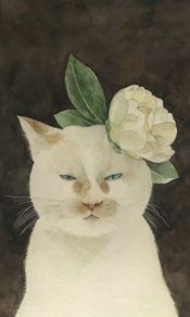 头戴白花，眼睛小小，表情贱贱，长得丑丑的白猫手机壁纸图片