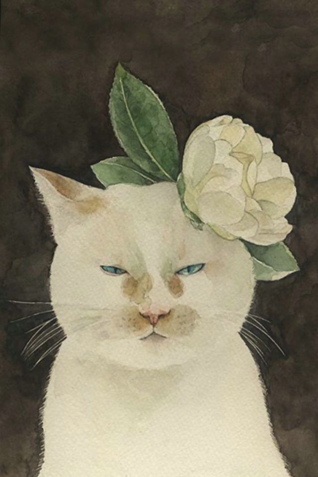 头戴白花，眼睛小小，表情贱贱，长得丑丑的白猫手机壁纸图片
