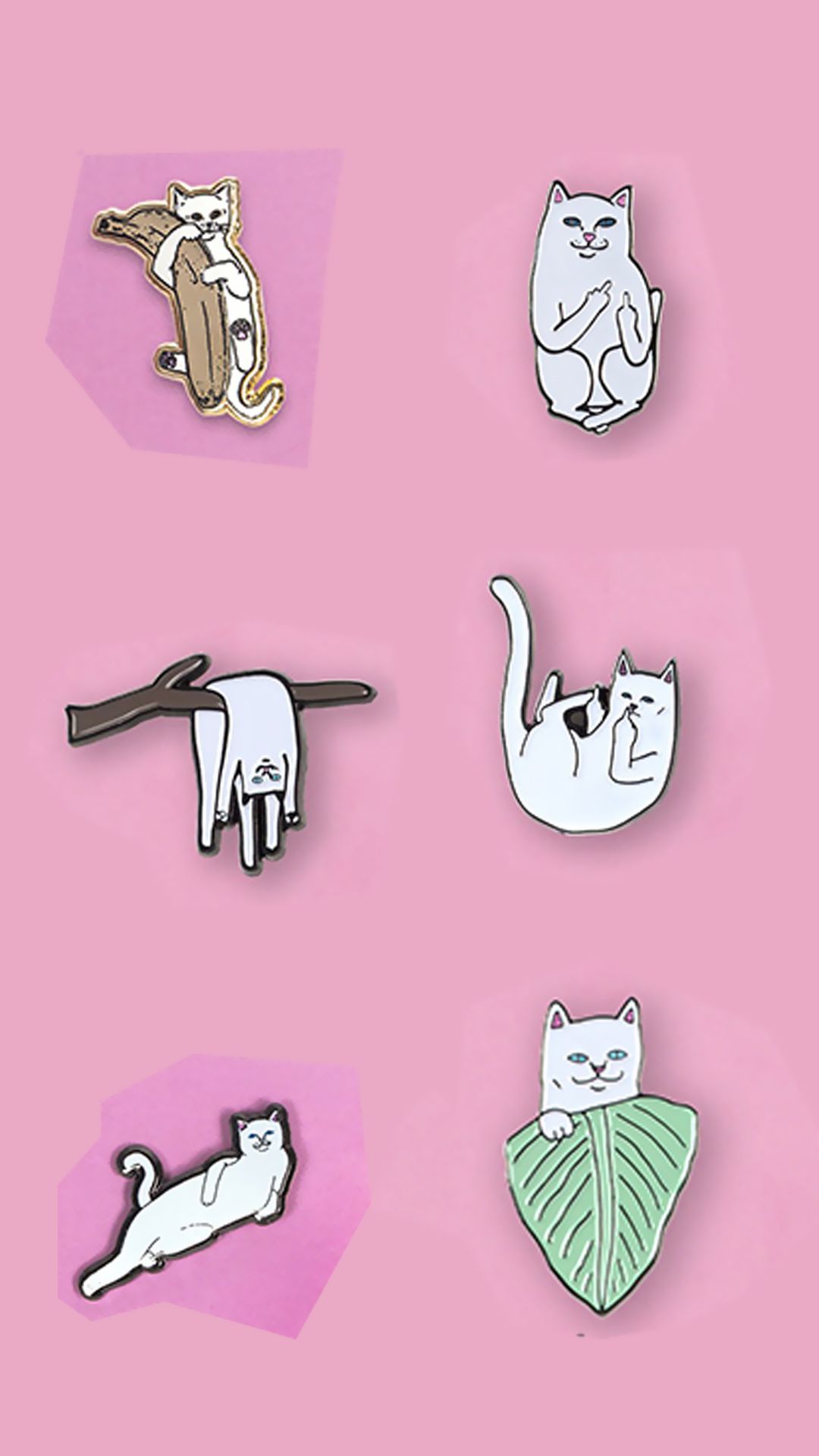 或坐，或卧，还抱树叶的贱贱中指猫多种形态图片手机壁纸