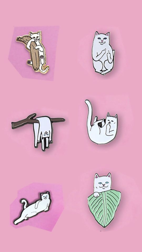 或坐，或卧，还抱树叶的贱贱中指猫多种形态图片手机壁纸