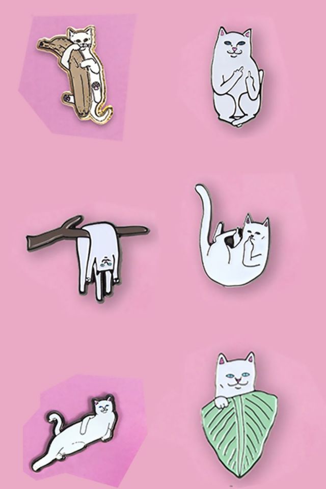 或坐，或卧，还抱树叶的贱贱中指猫多种形态图片手机壁纸