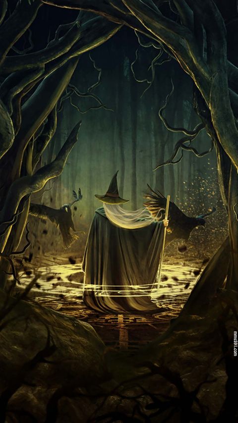 尖帽男巫师在幽暗的森林中施展法术的诡异神秘手机壁纸图片