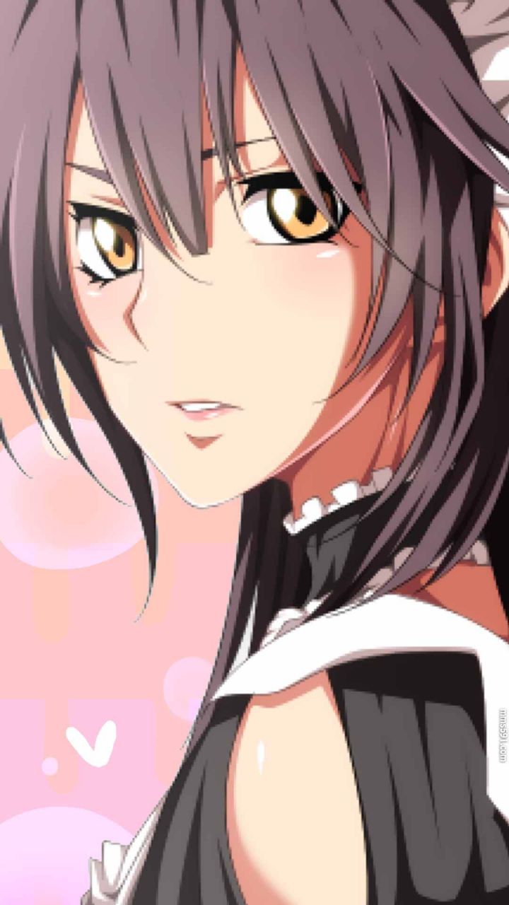 学生会会长是女仆大人鲇沢美咲Ayuzawa Misaki女仆装手机壁纸图片（3）