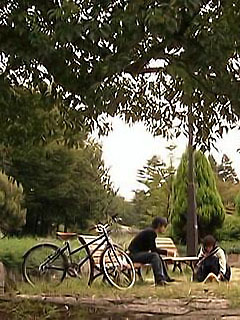 骑着单车去公园玩240×320手机壁纸图片