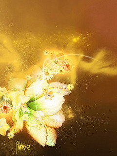 白色的花240×320手机图片大全