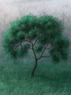 绿树绿草地240×320手机图片