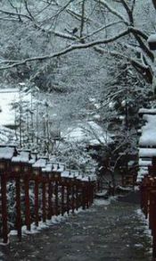 雪景下的路240×320手机图片