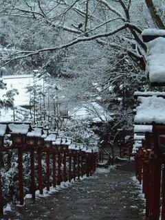 雪景下的路240×320手机图片