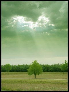 乌云密布中透出一缕呵护的阳光高清240×320手机图片