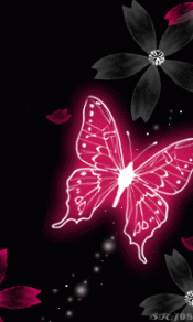红色的动态蝴蝶240×320手机壁纸图片