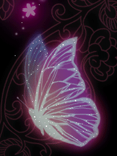 动态的彩色蝴蝶240×320手机图片下载