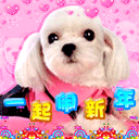一起闹新年