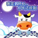 我在桥上你咋没到