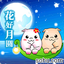 花好月圆