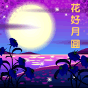 花好月圆