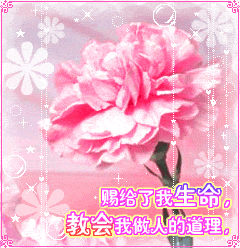 我永远爱你，妈妈