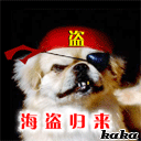 海盗归来