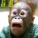 要辞退我？