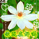 你的现在好吗